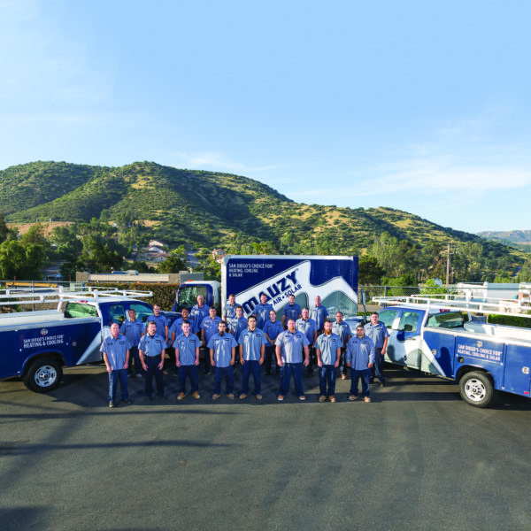 Mauzy installation crew posing in front of fleet of company vehicles