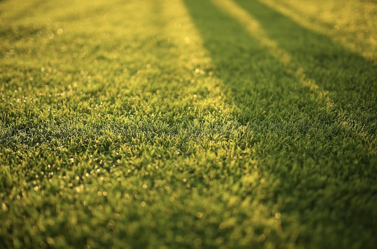 4 Reasons to Install Artificial Turf Mauzy Heating, Air & Solar
