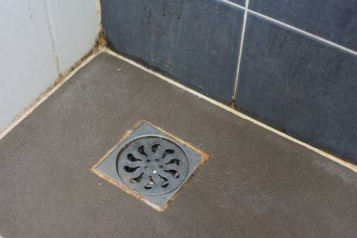 Clogged Drain
